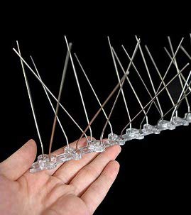 Amazon | ハト・カラス飛来防止 鳥よけスパイク2 (ステンレスロッド